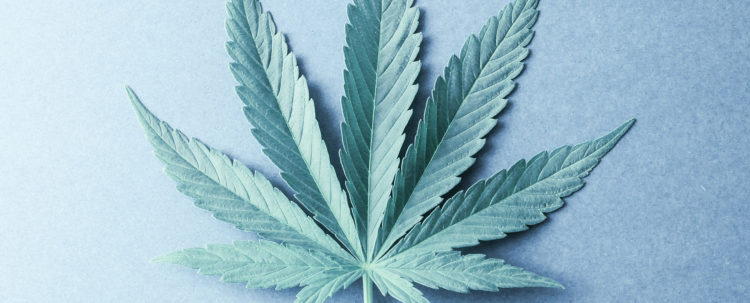 Investing in the Cannabis Industry